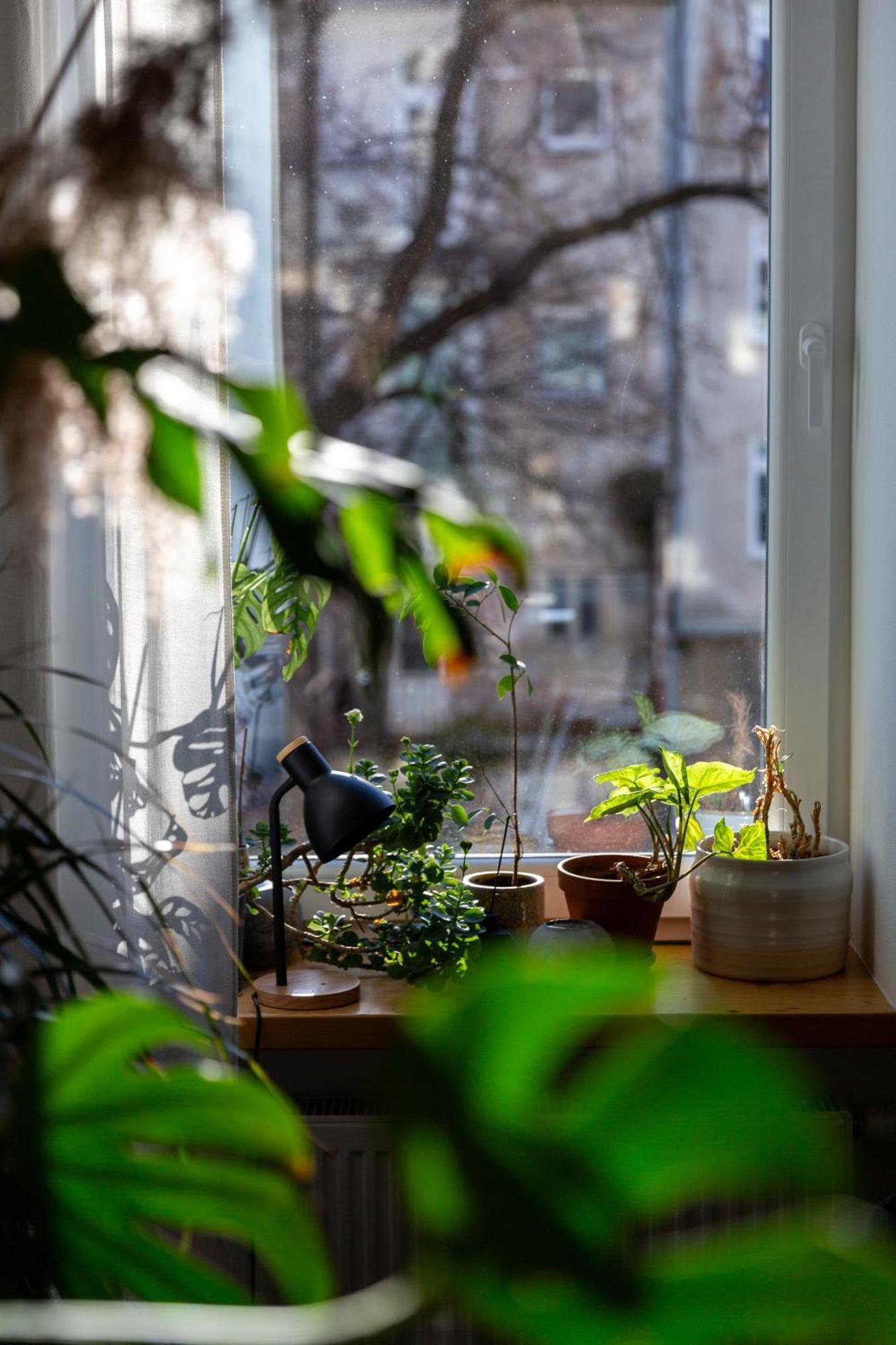 Evergreen - Old Town Spacious Stylish Apartment With Ac And One And A Half Bath, Baby & Kid- Friendly Bratysława Zewnętrze zdjęcie