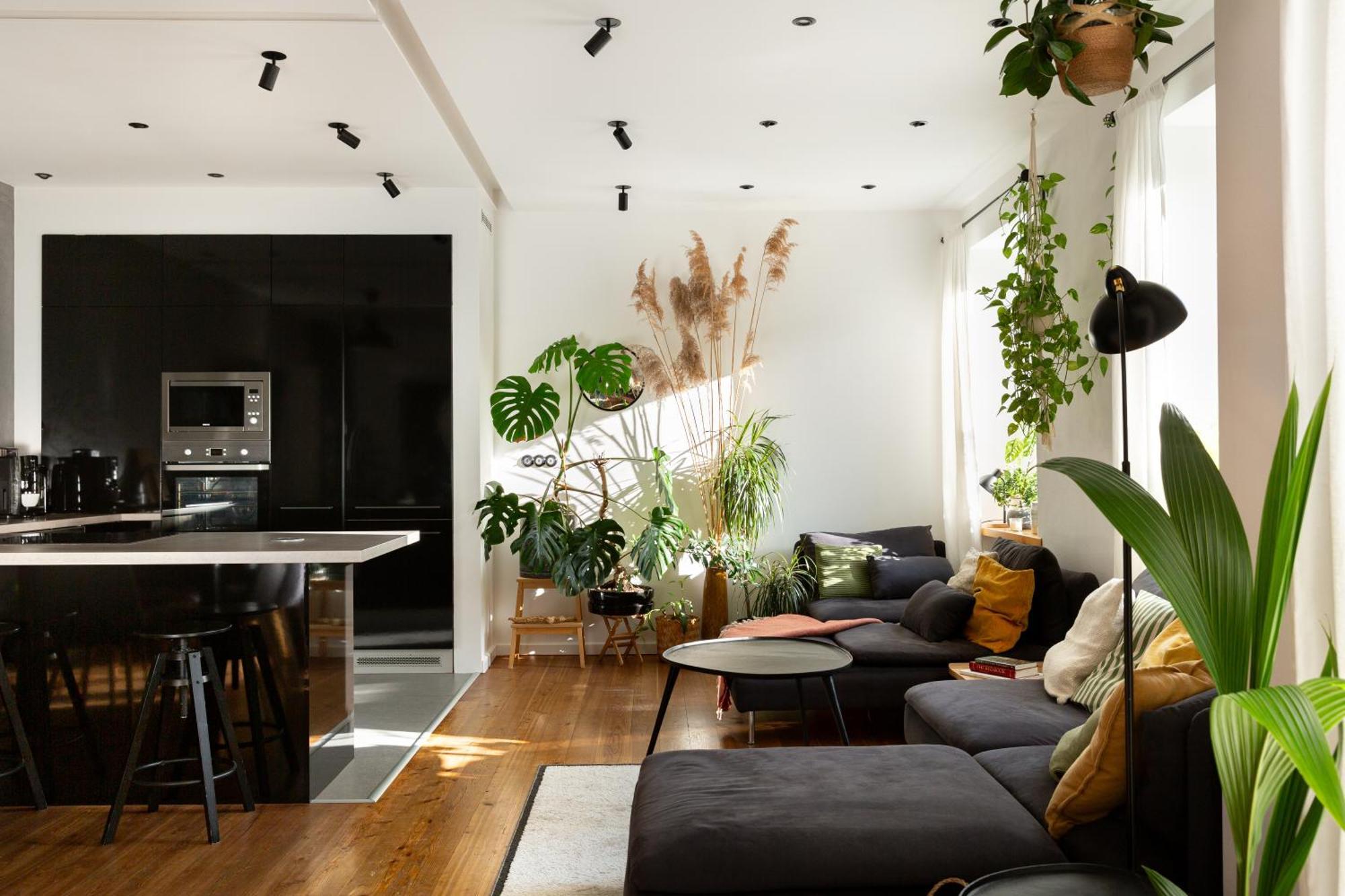 Evergreen - Old Town Spacious Stylish Apartment With Ac And One And A Half Bath, Baby & Kid- Friendly Bratysława Zewnętrze zdjęcie
