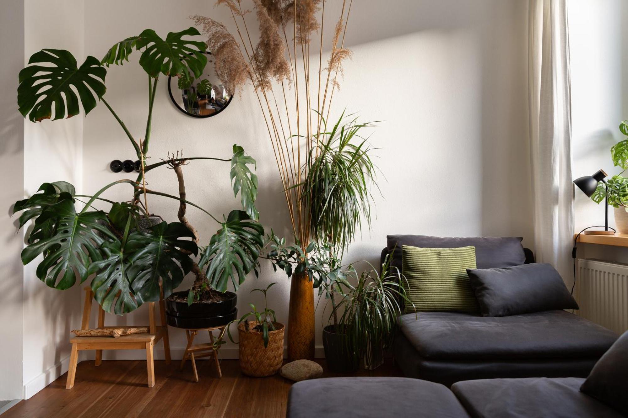 Evergreen - Old Town Spacious Stylish Apartment With Ac And One And A Half Bath, Baby & Kid- Friendly Bratysława Zewnętrze zdjęcie