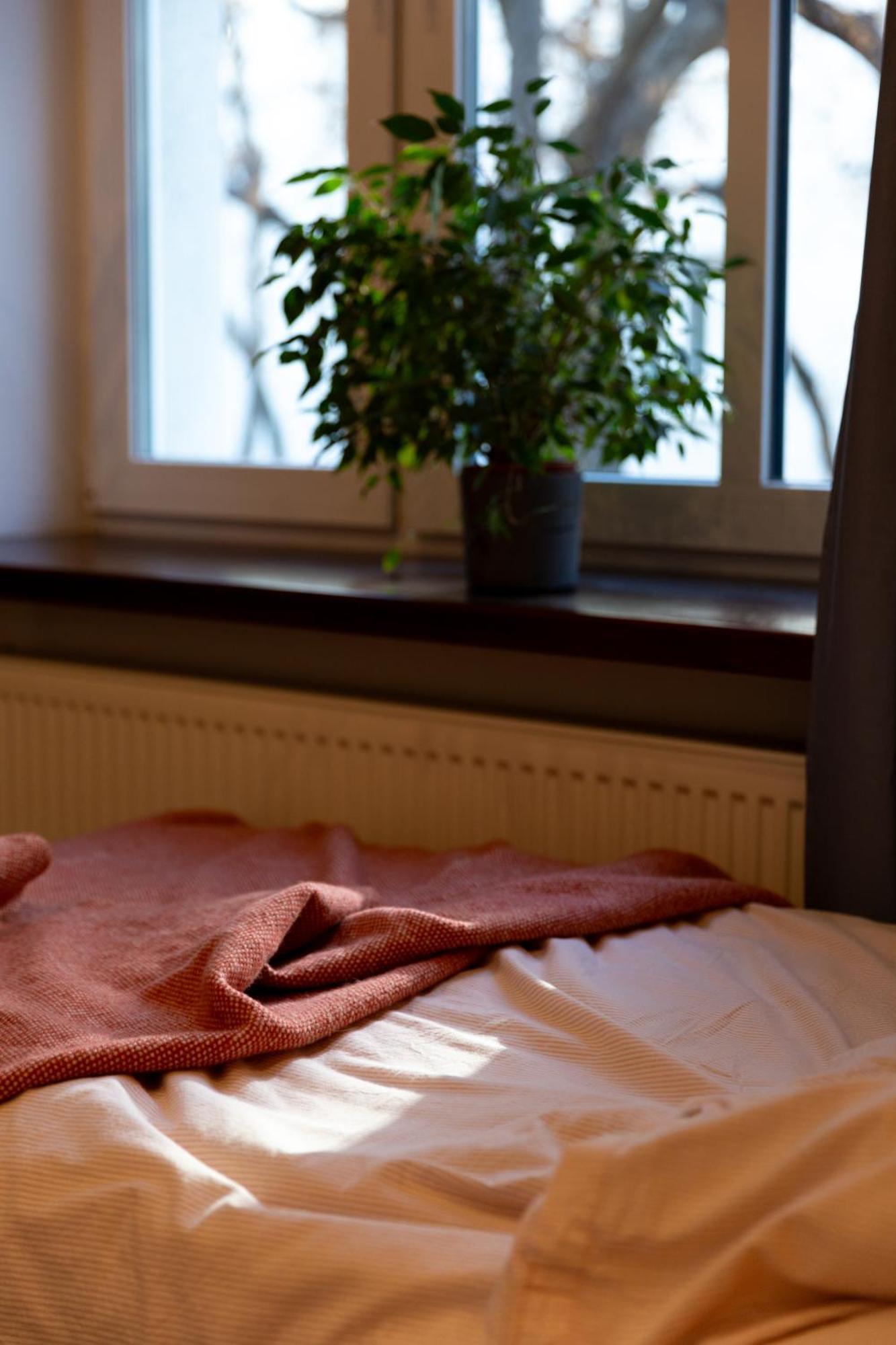 Evergreen - Old Town Spacious Stylish Apartment With Ac And One And A Half Bath, Baby & Kid- Friendly Bratysława Zewnętrze zdjęcie